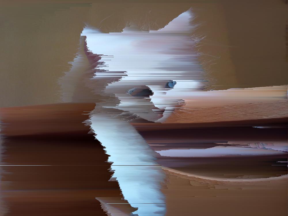 Pixel Sorter Glitch Art